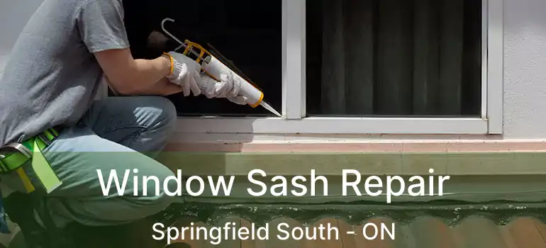 Window Sash Repair Springfield South - ON