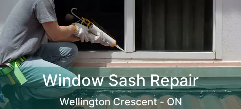  Window Sash Repair Wellington Crescent - ON