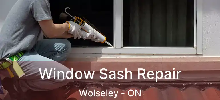  Window Sash Repair Wolseley - ON