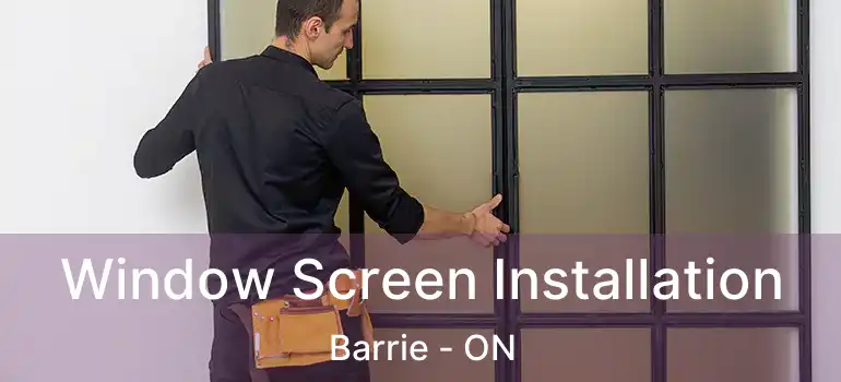  Window Screen Installation Barrie - ON