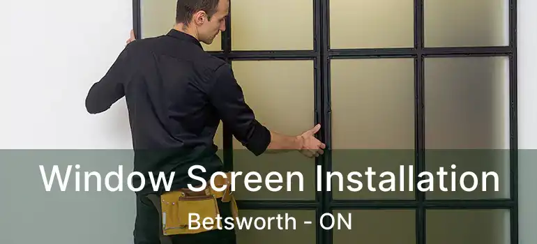  Window Screen Installation Betsworth - ON