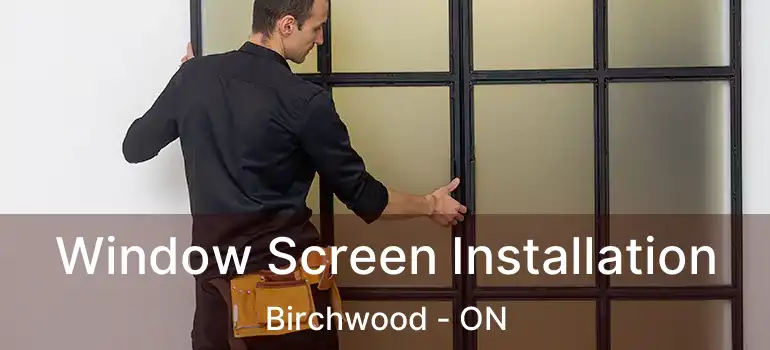  Window Screen Installation Birchwood - ON
