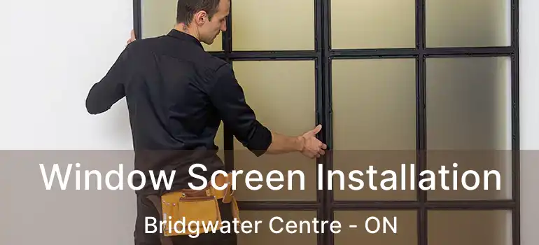  Window Screen Installation Bridgwater Centre - ON