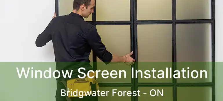  Window Screen Installation Bridgwater Forest - ON