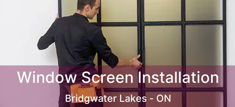  Window Screen Installation Bridgwater Lakes - ON