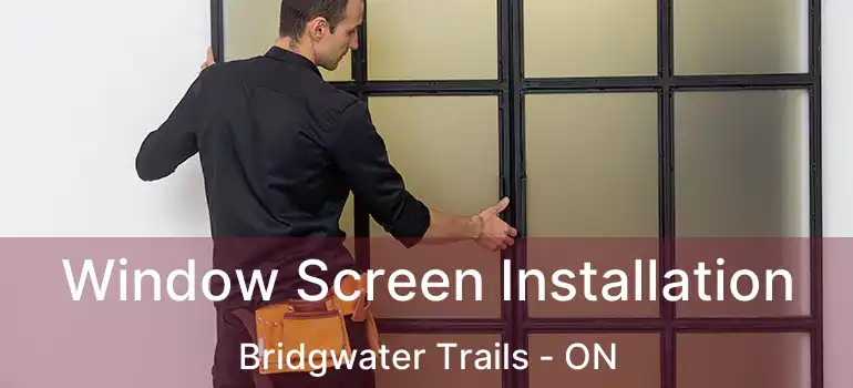  Window Screen Installation Bridgwater Trails - ON