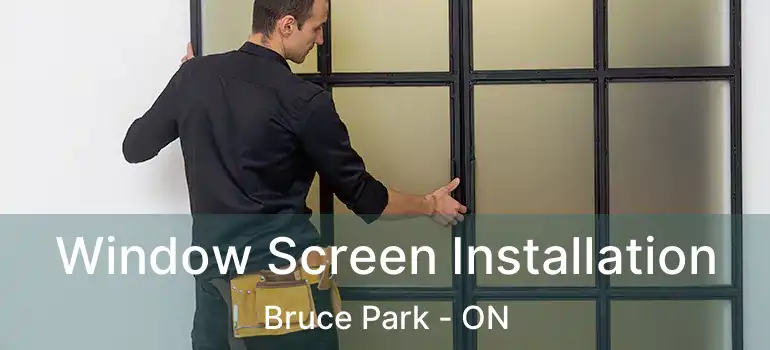  Window Screen Installation Bruce Park - ON