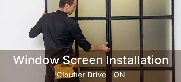  Window Screen Installation Cloutier Drive - ON