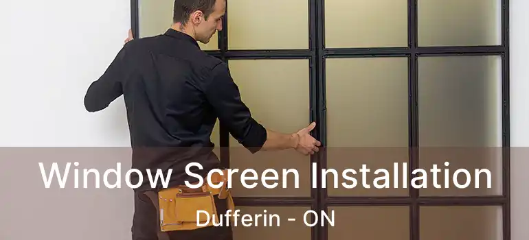  Window Screen Installation Dufferin - ON