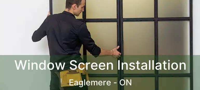  Window Screen Installation Eaglemere - ON