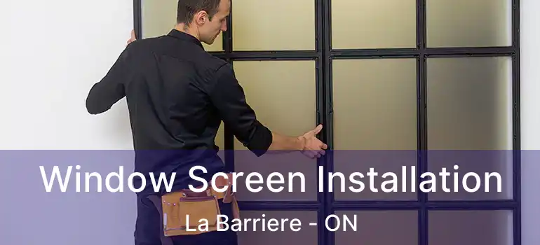  Window Screen Installation La Barriere - ON