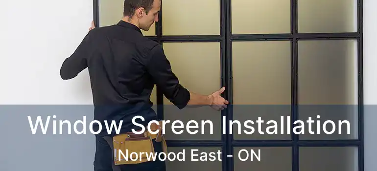  Window Screen Installation Norwood East - ON