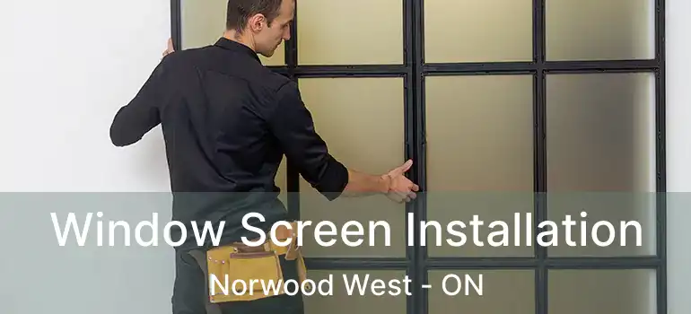  Window Screen Installation Norwood West - ON
