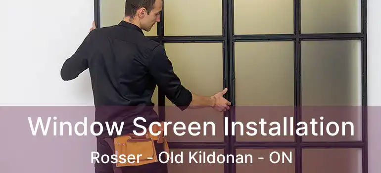  Window Screen Installation Rosser - Old Kildonan - ON