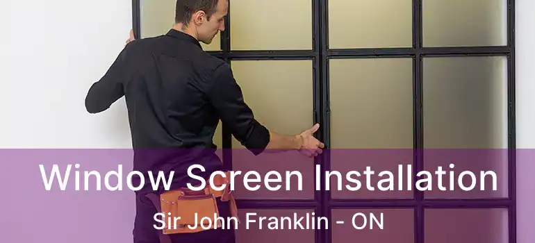  Window Screen Installation Sir John Franklin - ON
