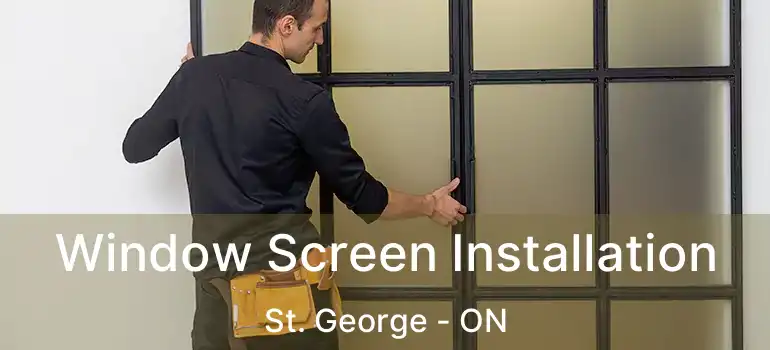 Window Screen Installation St. George - ON