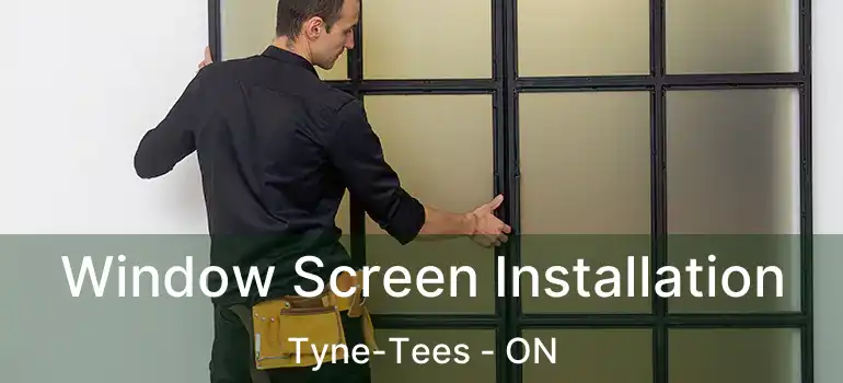 Window Screen Installation Tyne-Tees - ON