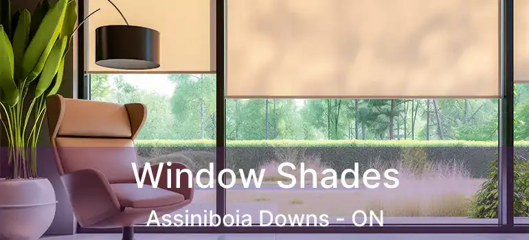  Window Shades Assiniboia Downs - ON
