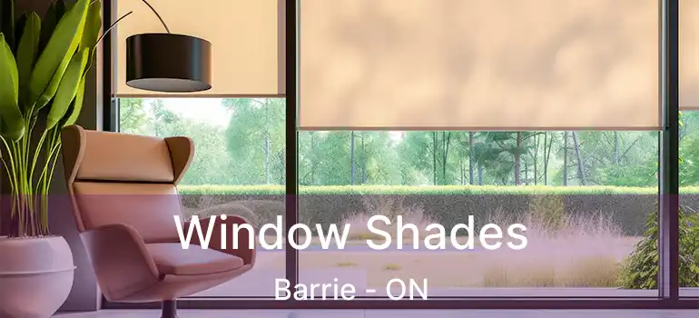  Window Shades Barrie - ON