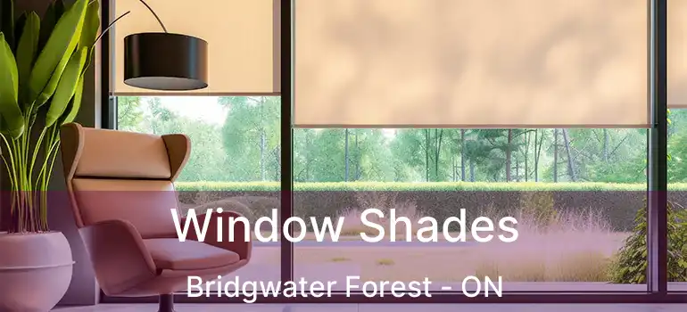  Window Shades Bridgwater Forest - ON
