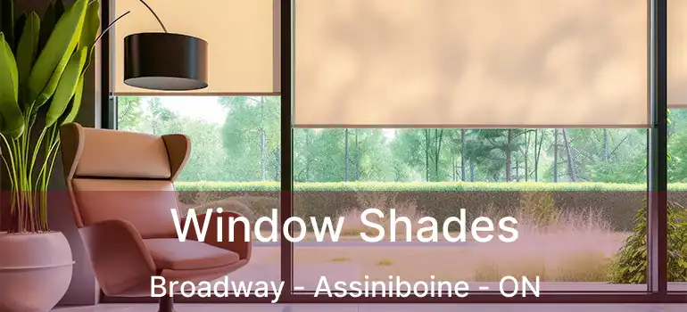  Window Shades Broadway - Assiniboine - ON