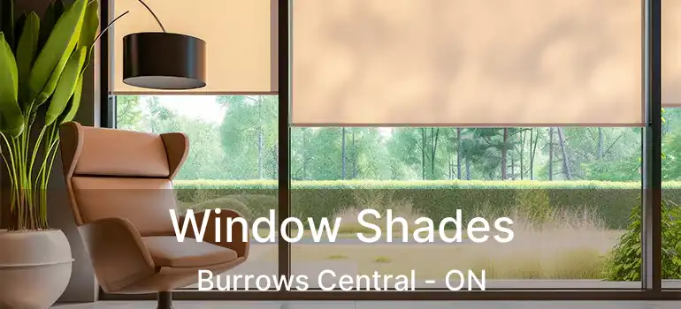  Window Shades Burrows Central - ON
