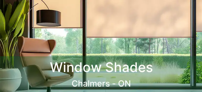  Window Shades Chalmers - ON
