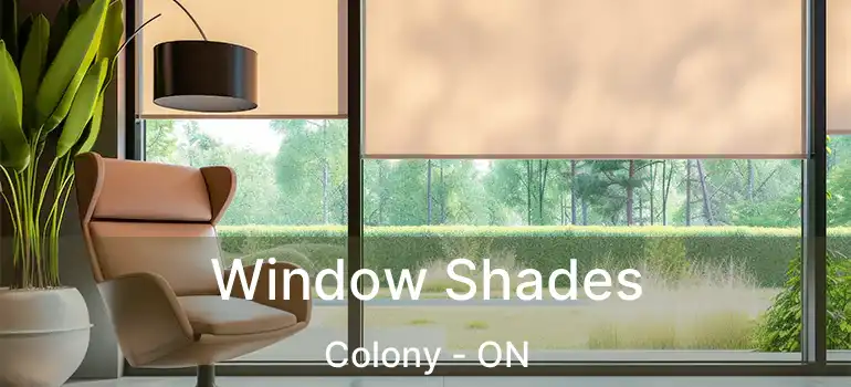  Window Shades Colony - ON