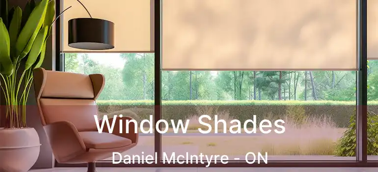  Window Shades Daniel McIntyre - ON