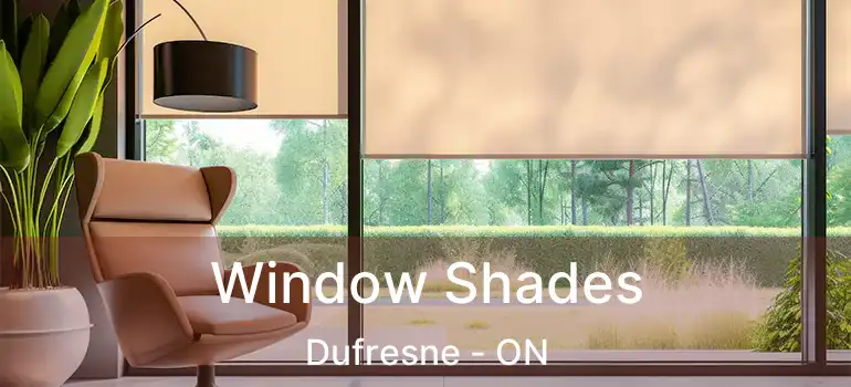  Window Shades Dufresne - ON