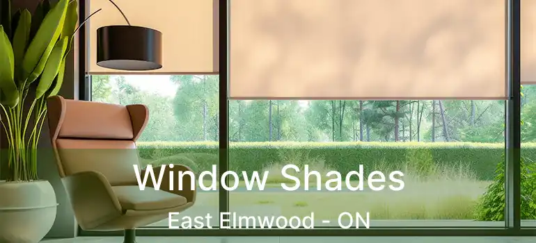  Window Shades East Elmwood - ON