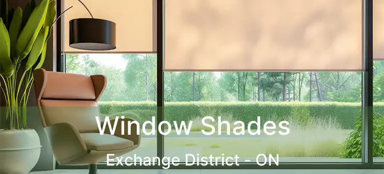  Window Shades Exchange District - ON