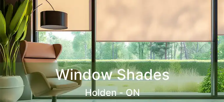  Window Shades Holden - ON