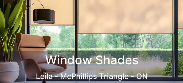  Window Shades Leila - McPhillips Triangle - ON