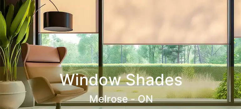  Window Shades Melrose - ON