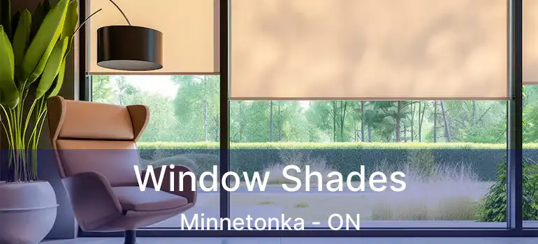  Window Shades Minnetonka - ON