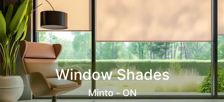  Window Shades Minto - ON