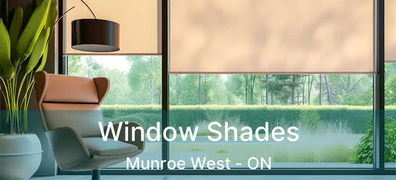  Window Shades Munroe West - ON