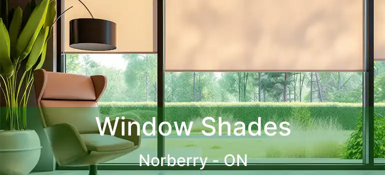  Window Shades Norberry - ON