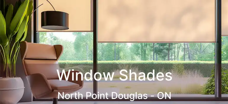  Window Shades North Point Douglas - ON