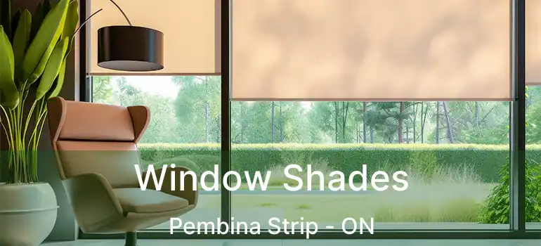  Window Shades Pembina Strip - ON