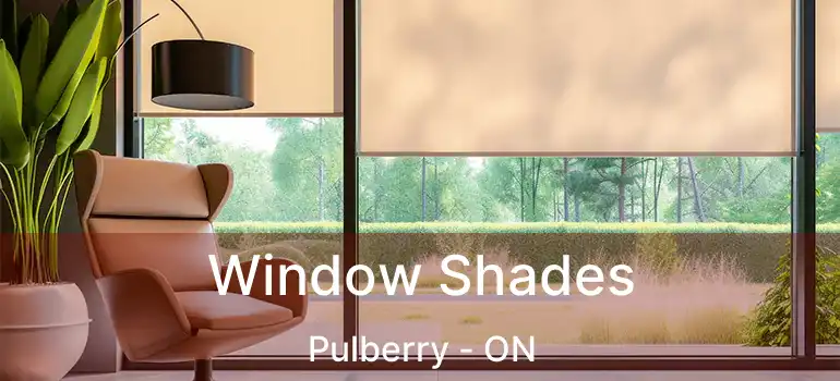  Window Shades Pulberry - ON