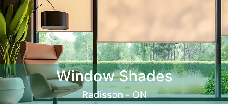  Window Shades Radisson - ON