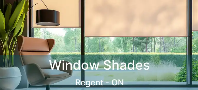  Window Shades Regent - ON