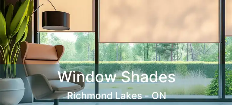  Window Shades Richmond Lakes - ON