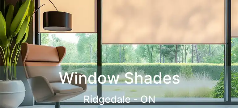  Window Shades Ridgedale - ON