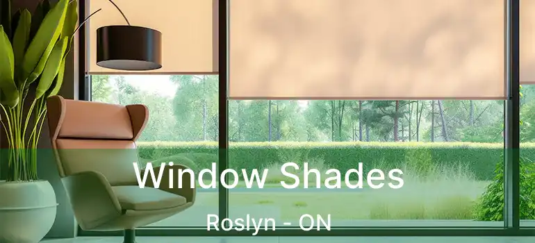  Window Shades Roslyn - ON