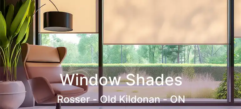  Window Shades Rosser - Old Kildonan - ON