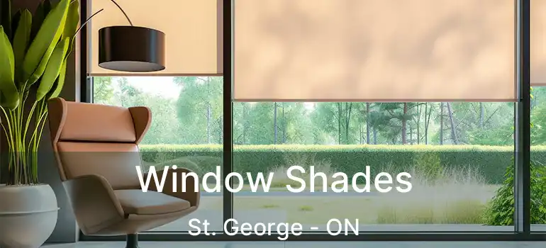  Window Shades St. George - ON