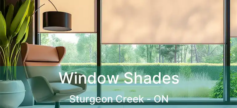  Window Shades Sturgeon Creek - ON